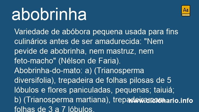 Significado de abobrinha