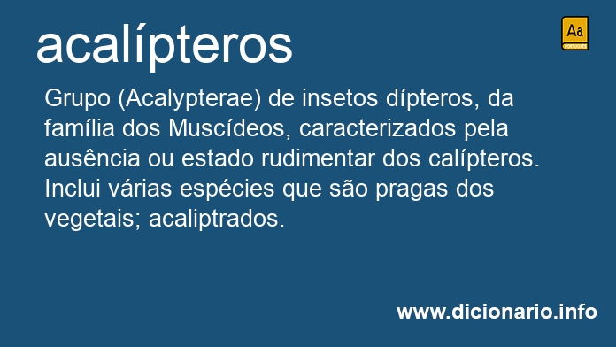 Significado de acalpteros