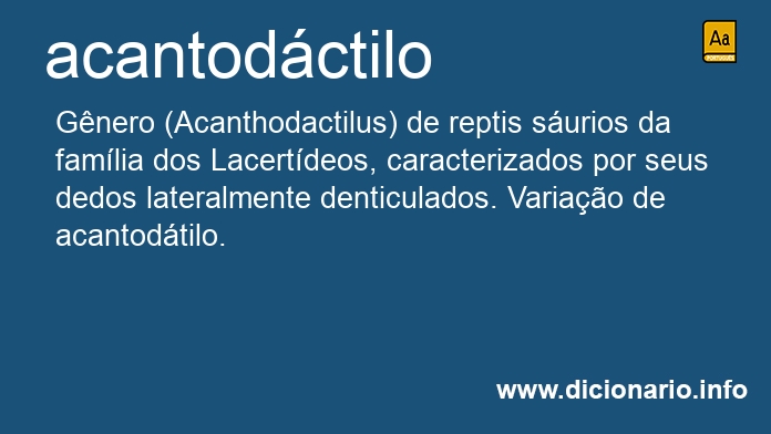 Significado de acantodctilo