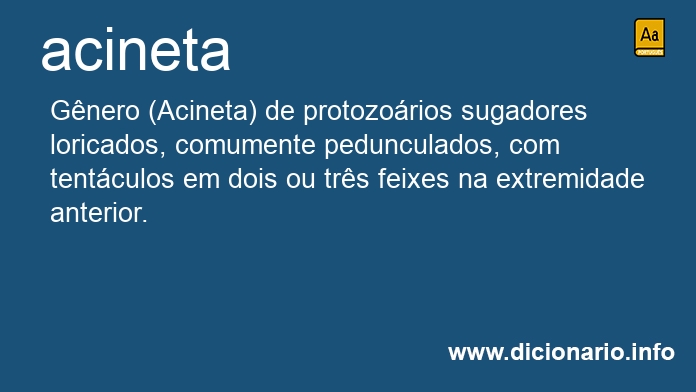 Significado de acineta