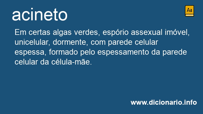 Significado de acineto