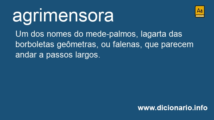 Significado de agrimensora