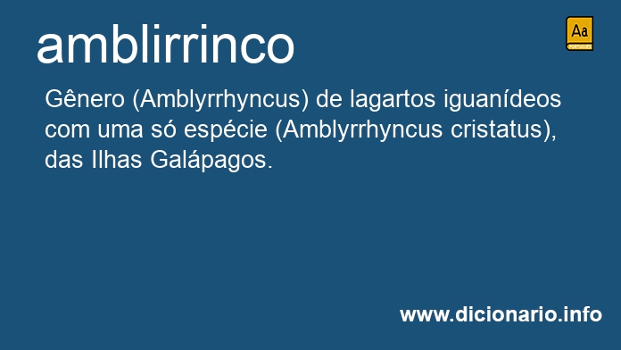 Significado de amblirrinco