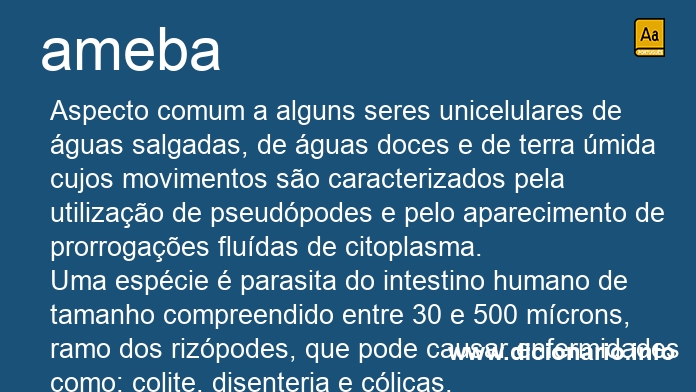 Significado de ameba