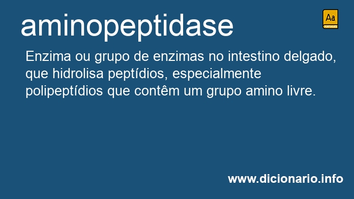 Significado de aminopeptidase