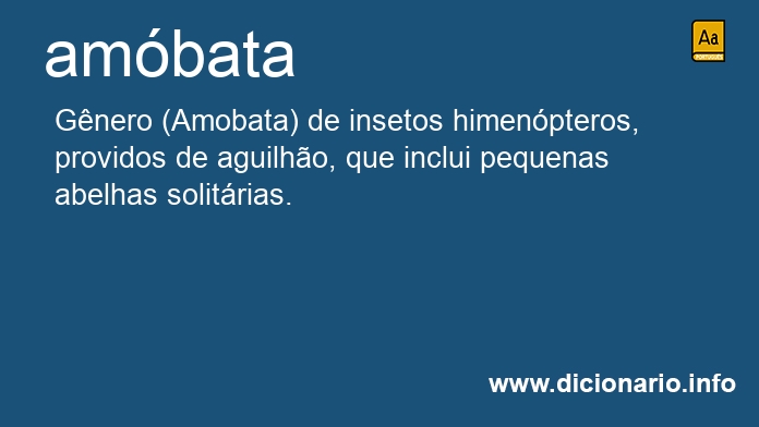 Significado de ambata