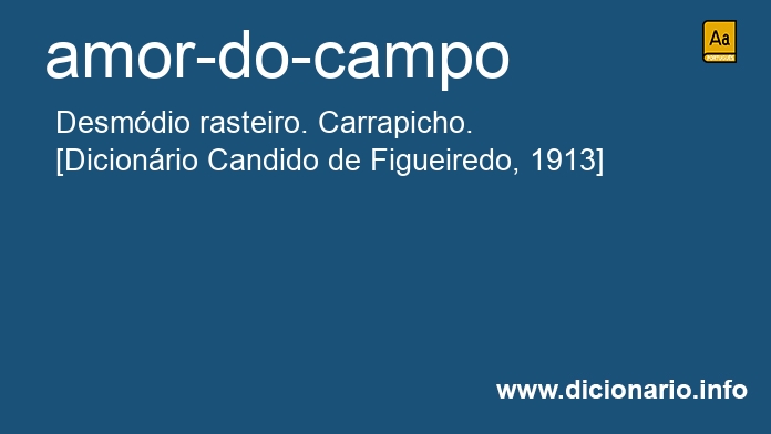 Significado de amor-do-campo