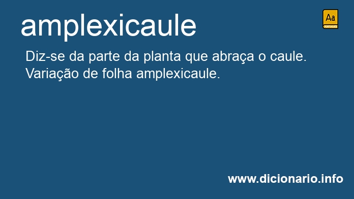 Significado de amplexicaule