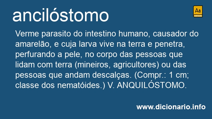 Significado de ancilstomo