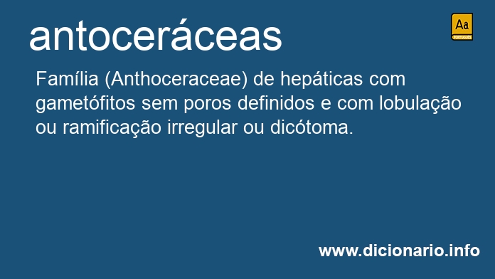 Significado de antocerceas