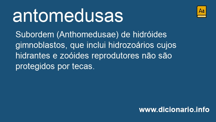 Significado de antomedusas