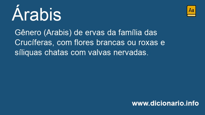 Significado de rabis