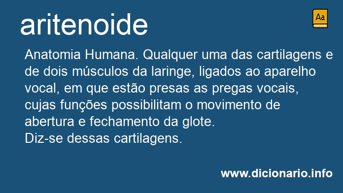 Significado de aritenoide