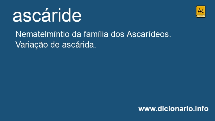 Significado de ascride