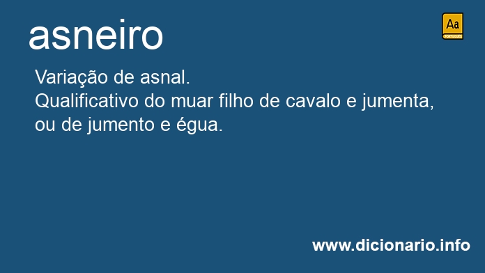 Significado de asneiro