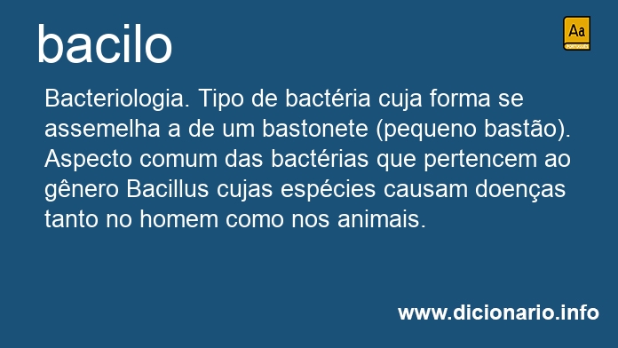 Significado de bacilo