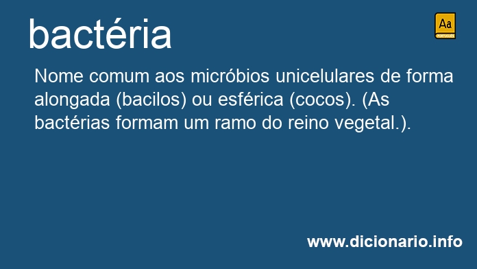 Significado de bactria