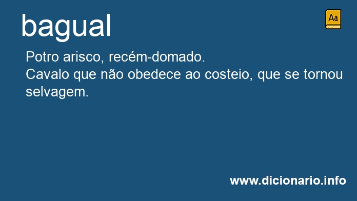 Significado de bagual