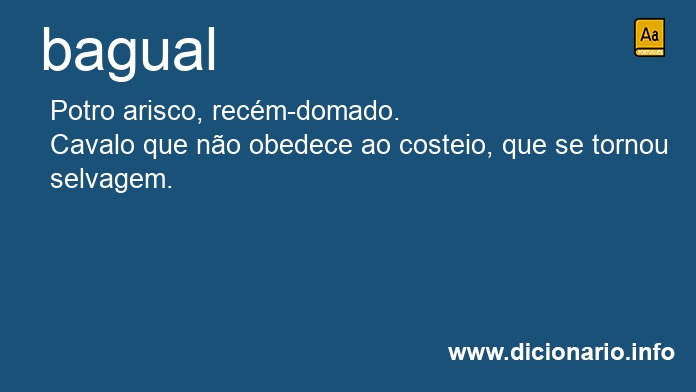 Significado de bagual