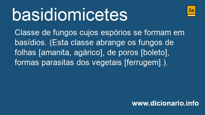 Significado de basidiomicetes