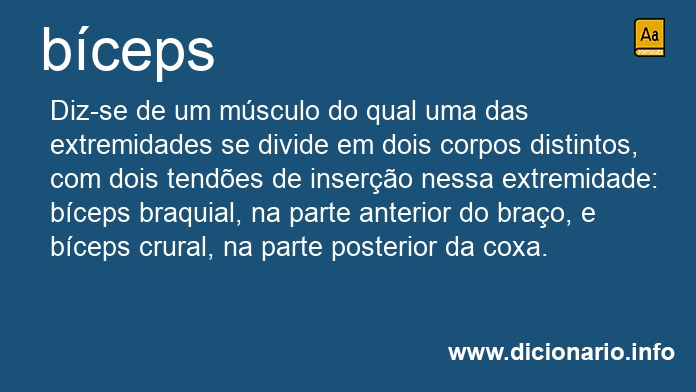 Significado de bceps