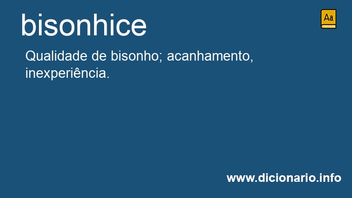 Significado de bisonhice