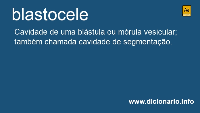 Significado de blastocele