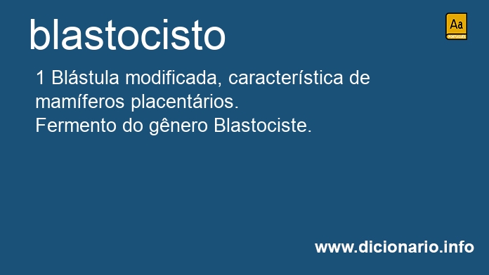 Significado de blastocisto