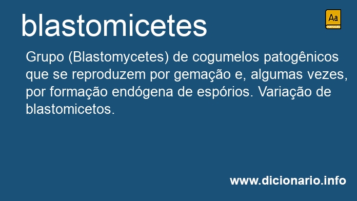 Significado de blastomicetes