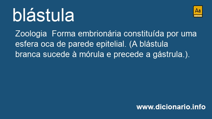 Significado de bl�stula