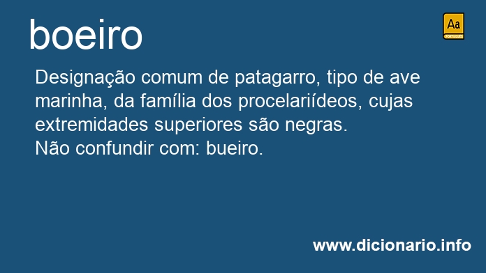 Significado de boeiro