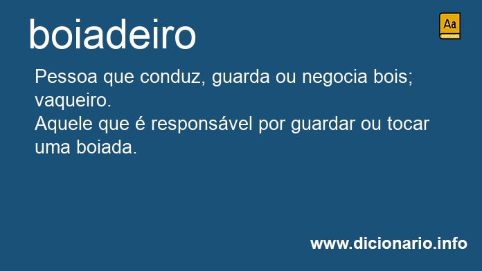 Significado de boiadeiros