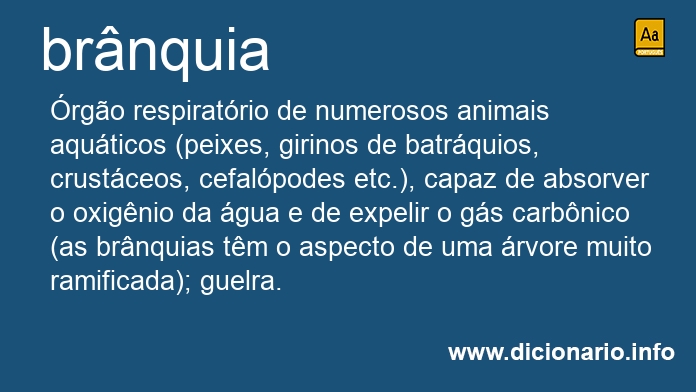 Significado de brnquia