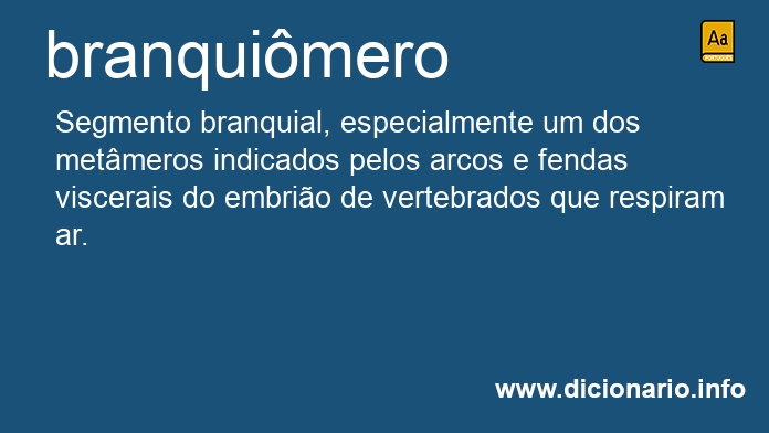 Significado de branquimero