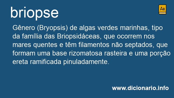 Significado de briopse