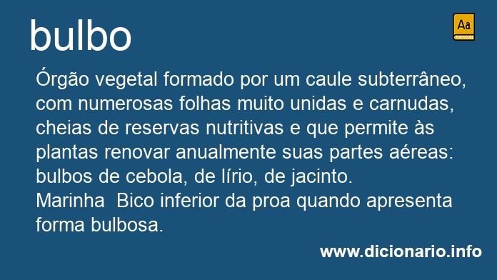 Significado de bulbo