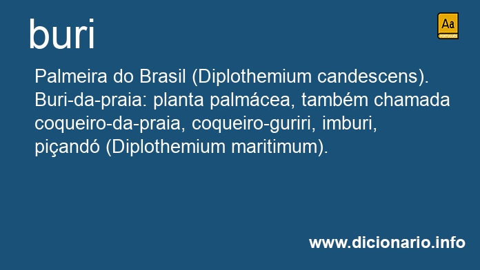 Significado de buri