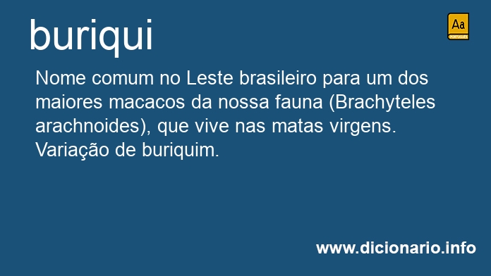 Significado de buriqui