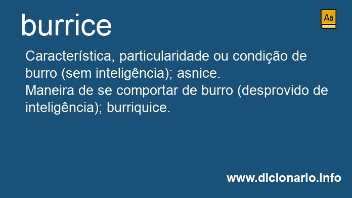 Significado de burrice