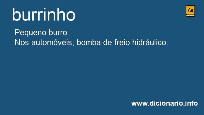 Significado de burrinha