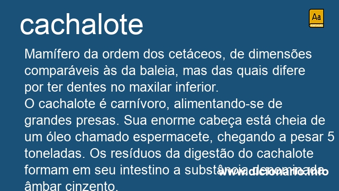 Significado de cachalote