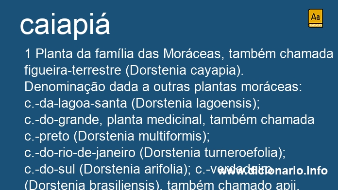 Significado de caiapi