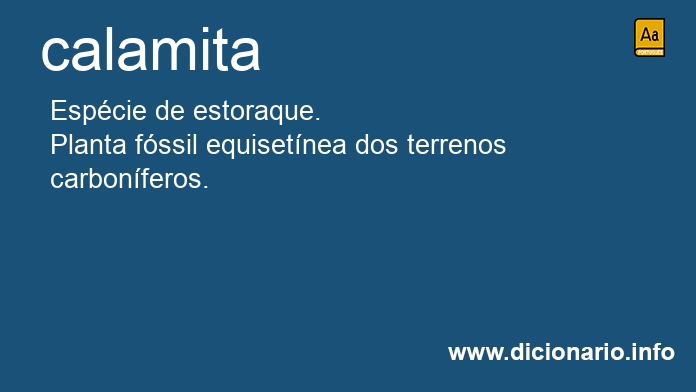 Significado de calamita