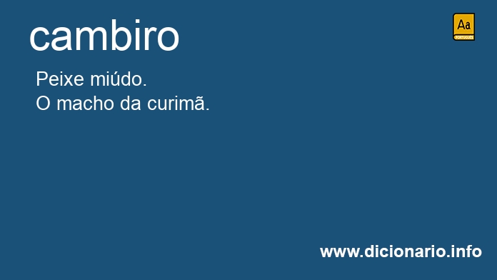 Significado de cambiro