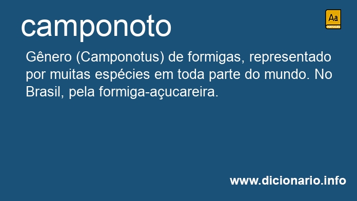 Significado de camponoto