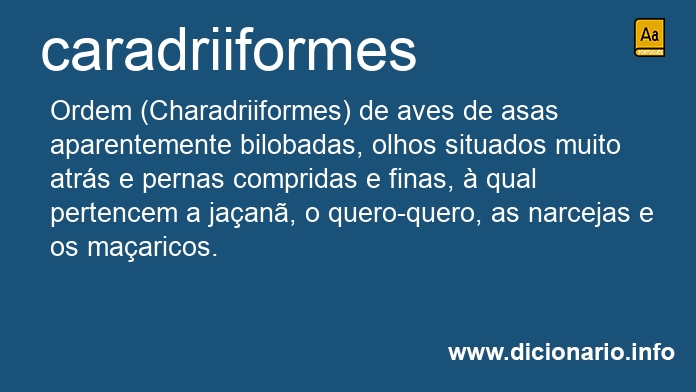 Significado de caradriiformes