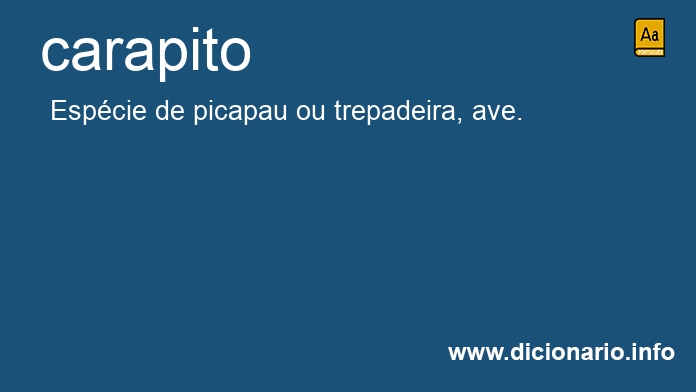 Significado de carapito