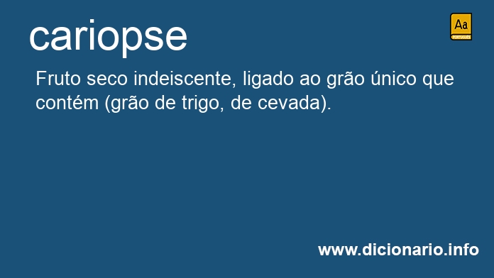 Significado de cariopse