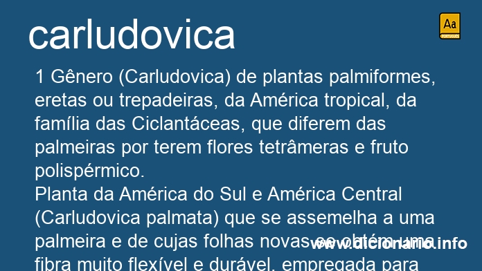 Significado de carludovica