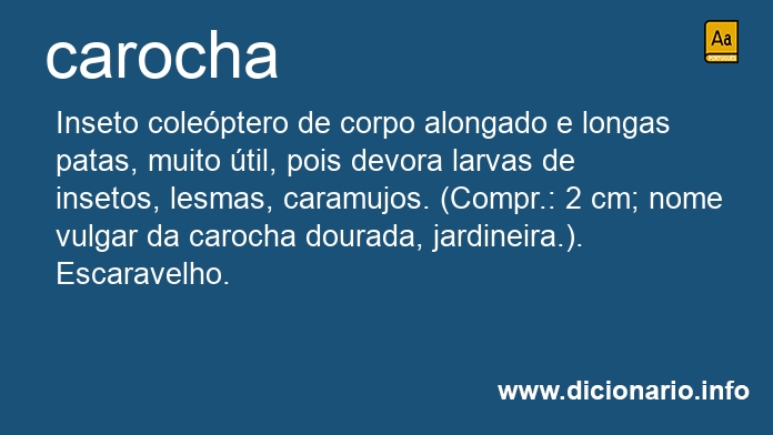 Significado de carocha